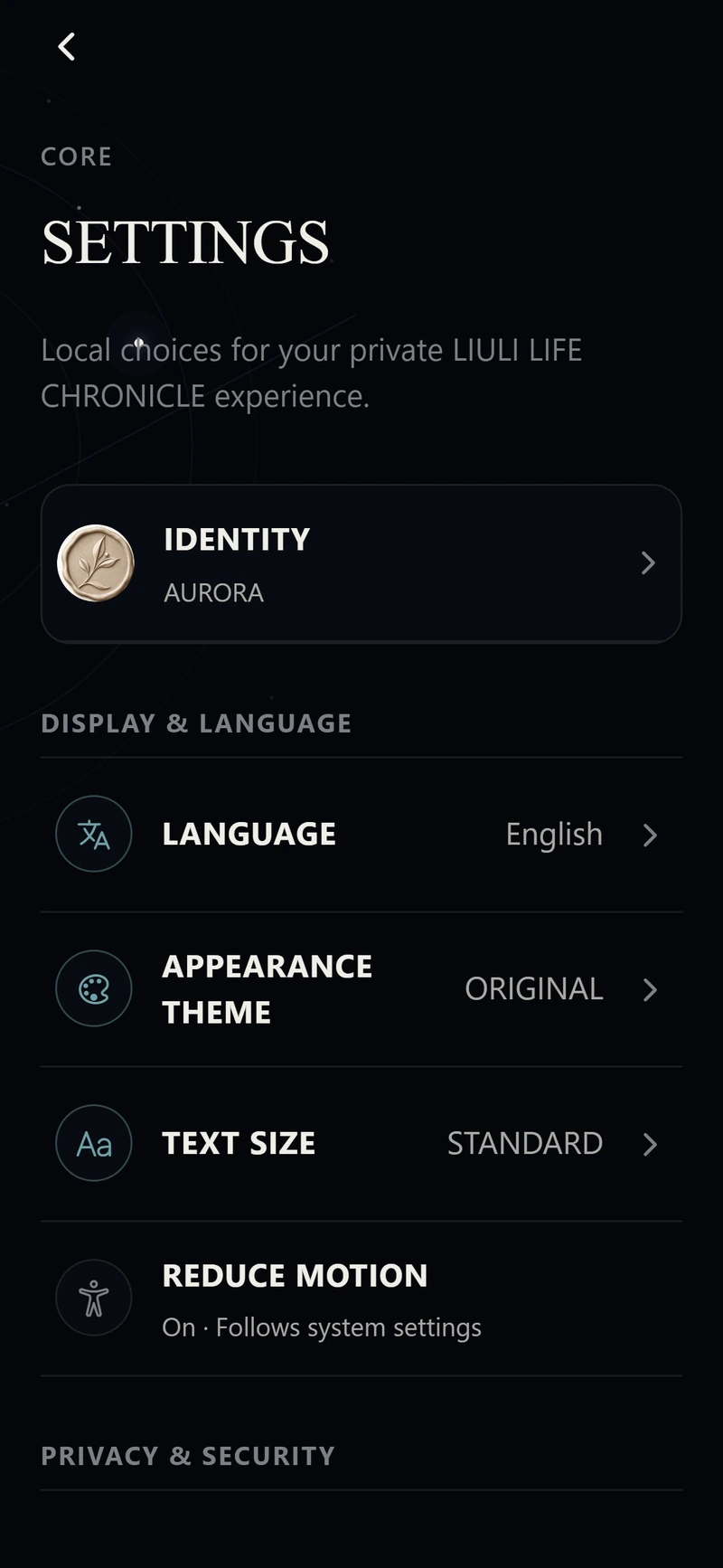 Settings screen with identity, language, appearance, text size and motion preferences.